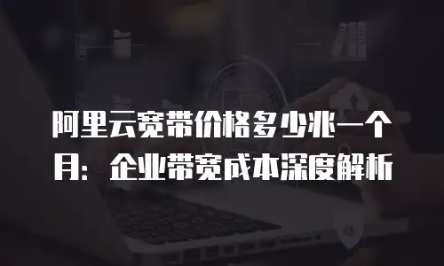 阿里云宽带价格多少兆一个月：企业带宽成本深度解析
