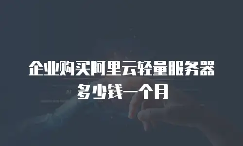 企业购买阿里云轻量服务器多少钱一个月