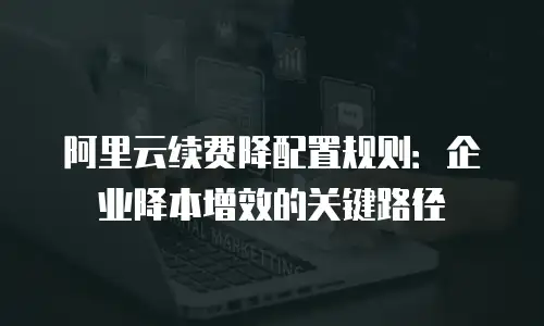 阿里云续费降配置规则：企业降本增效的关键路径