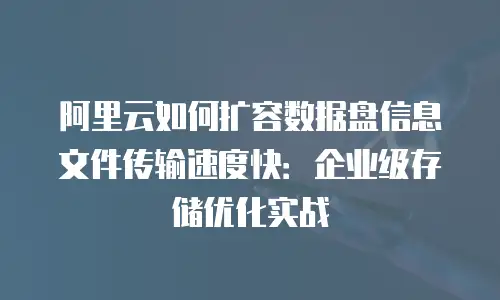 阿里云如何扩容数据盘信息文件传输速度快：企业级存储优化实战