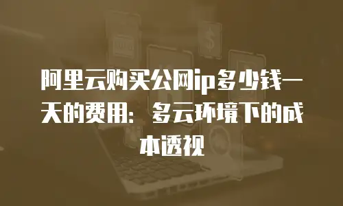 阿里云购买公网ip多少钱一天的费用：多云环境下的成本透视