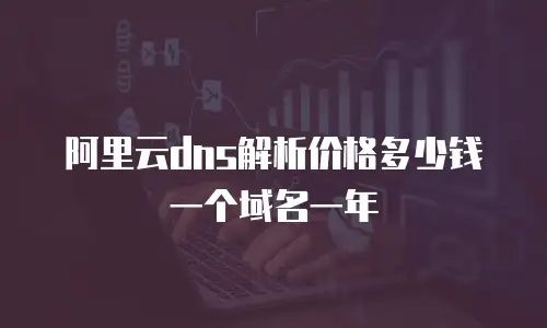 阿里云dns解析价格多少钱一个域名一年
