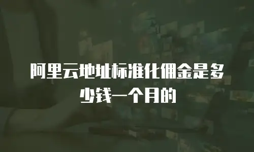 阿里云地址标准化佣金是多少钱一个月的