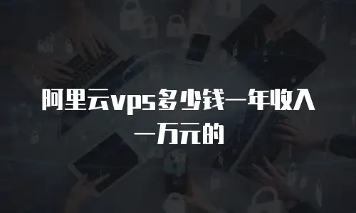 阿里云vps多少钱一年收入一万元的
