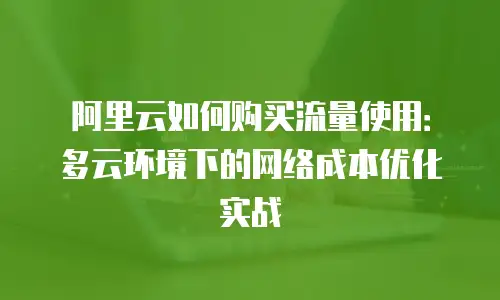 阿里云如何购买流量使用：多云环境下的网络成本优化实战