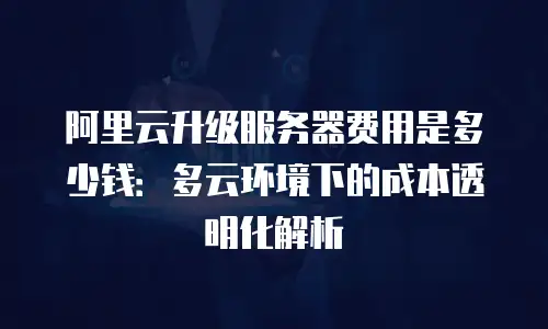 阿里云升级服务器费用是多少钱：多云环境下的成本透明化解析