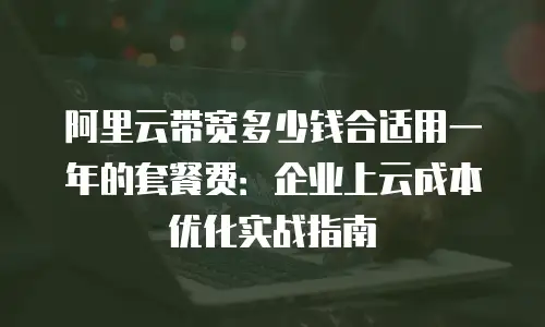 阿里云带宽多少钱合适用一年的套餐费：企业上云成本优化实战指南