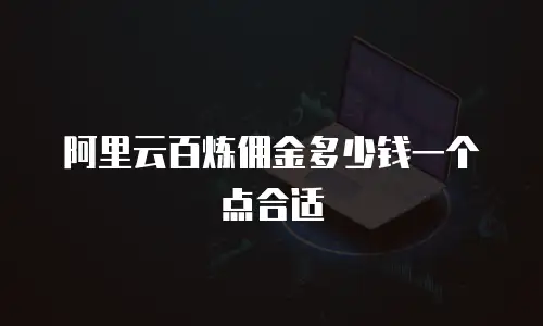 阿里云百炼佣金多少钱一个点合适