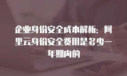 企业身份安全成本解析：阿里云身份安全费用是多少一年期内的