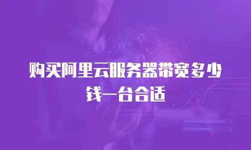 购买阿里云服务器带宽多少钱一台合适