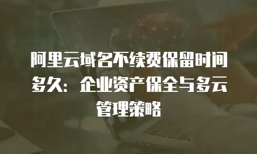 阿里云域名不续费保留时间多久：企业资产保全与多云管理策略