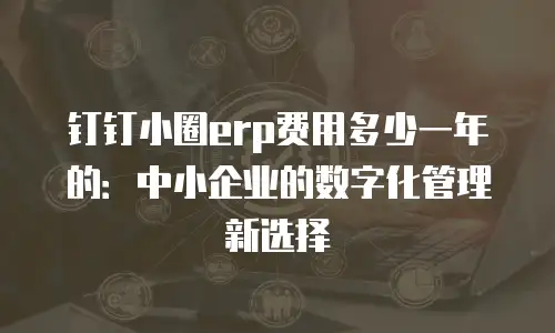 钉钉小圈erp费用多少一年的：中小企业的数字化管理新选择