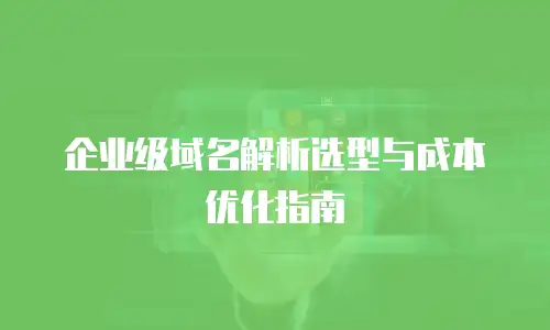 企业级域名解析选型与成本优化指南