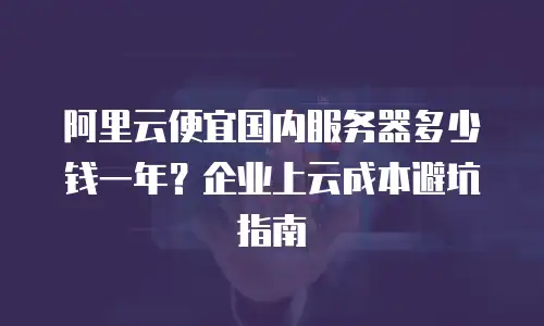 阿里云便宜国内服务器多少钱一年？企业上云成本避坑指南