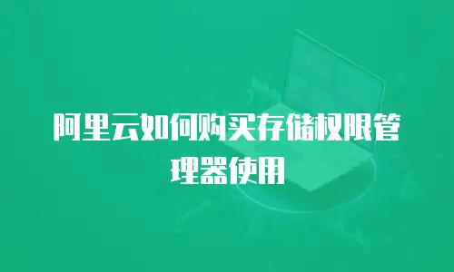 阿里云如何购买存储权限管理器使用