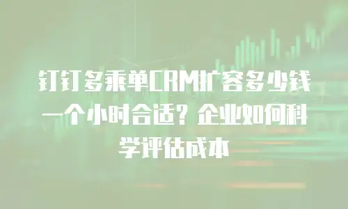 钉钉多乘单CRM扩容多少钱一个小时合适？企业如何科学评估成本