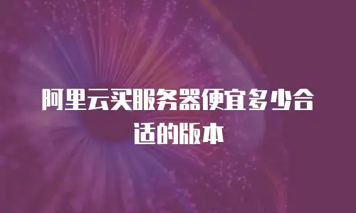 阿里云买服务器便宜多少合适的版本