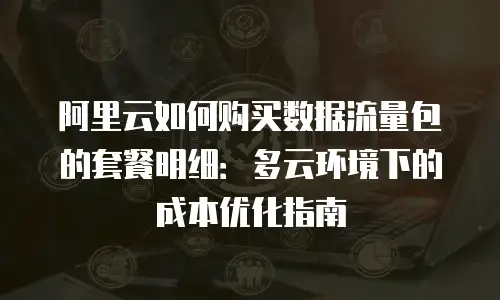 阿里云如何购买数据流量包的套餐明细：多云环境下的成本优化指南