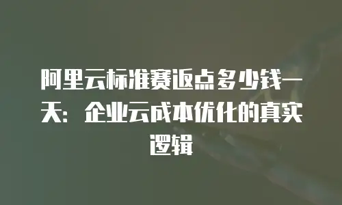阿里云标准赛返点多少钱一天：企业云成本优化的真实逻辑
