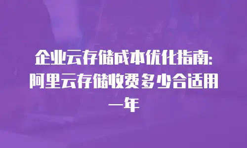 企业云存储成本优化指南：阿里云存储收费多少合适用一年