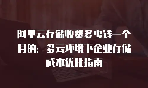 阿里云存储收费多少钱一个月的：多云环境下企业存储成本优化指南
