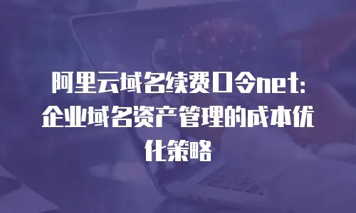 阿里云域名续费口令net：企业域名资产管理的成本优化策略