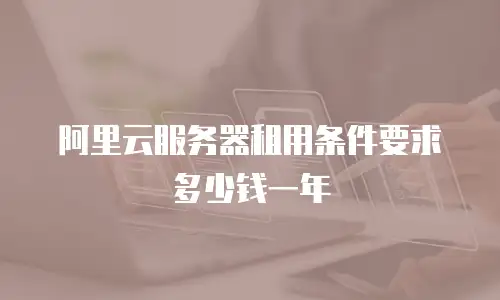 阿里云服务器租用条件要求多少钱一年