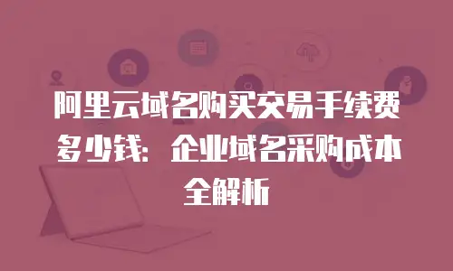 阿里云域名购买交易手续费多少钱：企业域名采购成本全解析