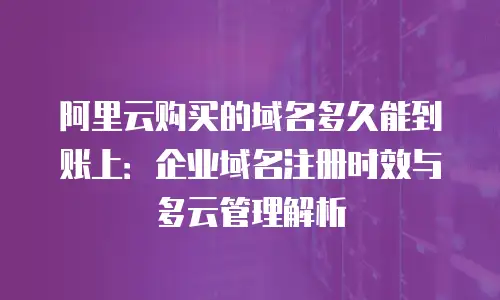 阿里云购买的域名多久能到账上：企业域名注册时效与多云管理解析