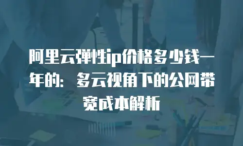 阿里云弹性ip价格多少钱一年的：多云视角下的公网带宽成本解析
