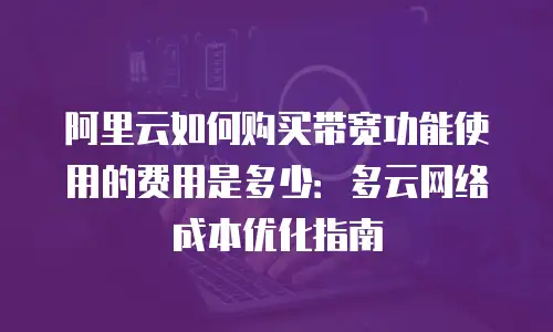 阿里云如何购买带宽功能使用的费用是多少：多云网络成本优化指南