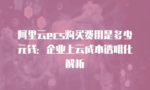 阿里云ecs购买费用是多少元钱：企业上云成本透明化解析