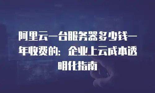 阿里云一台服务器多少钱一年收费的：企业上云成本透明化指南