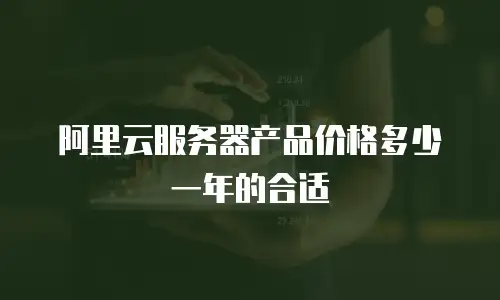 阿里云服务器产品价格多少一年的合适