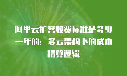 阿里云扩容收费标准是多少一年的：多云架构下的成本精算逻辑
