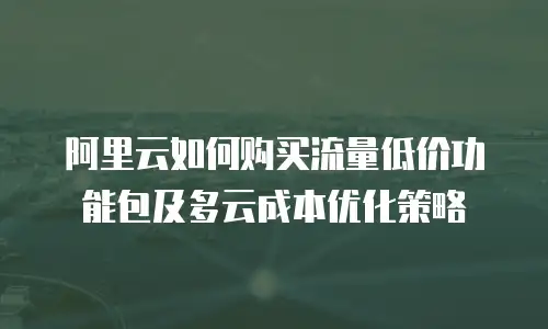 阿里云如何购买流量低价功能包及多云成本优化策略