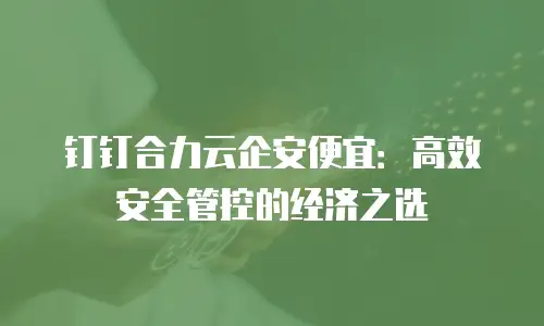 钉钉合力云企安便宜：高效安全管控的经济之选