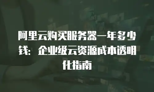 阿里云购买服务器一年多少钱：企业级云资源成本透明化指南