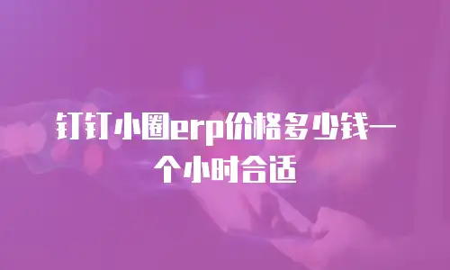 钉钉小圈erp价格多少钱一个小时合适
