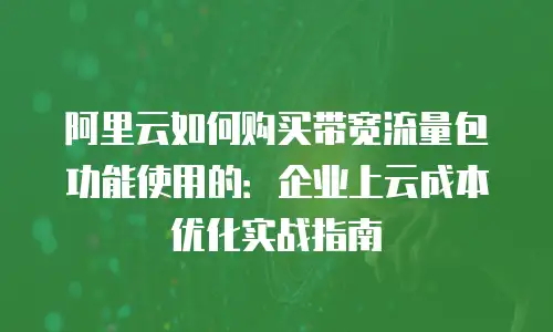 阿里云如何购买带宽流量包功能使用的：企业上云成本优化实战指南