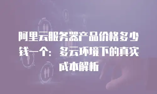 阿里云服务器产品价格多少钱一个：多云环境下的真实成本解析