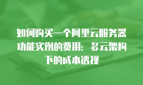 如何购买一个阿里云服务器功能实例的费用：多云架构下的成本透视