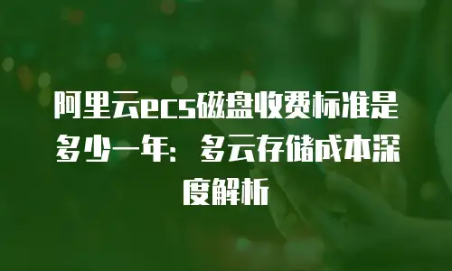 阿里云ecs磁盘收费标准是多少一年：多云存储成本深度解析