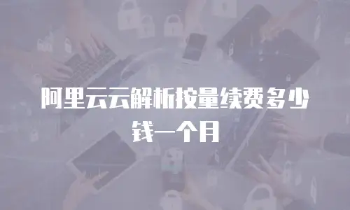 阿里云云解析按量续费多少钱一个月