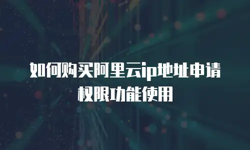 如何购买阿里云ip地址申请权限功能使用