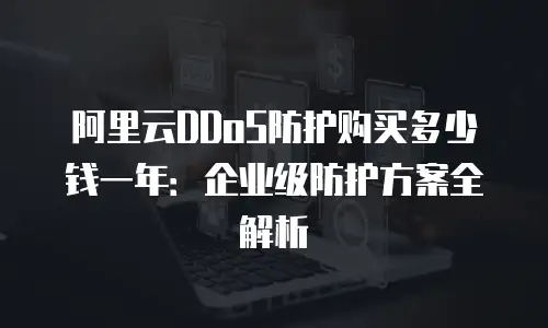 阿里云DDoS防护购买多少钱一年：企业级防护方案全解析