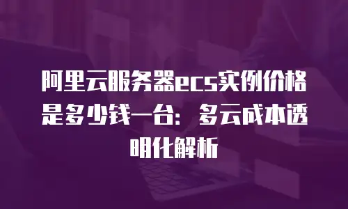 阿里云服务器ecs实例价格是多少钱一台：多云成本透明化解析
