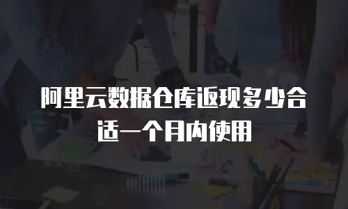 阿里云数据仓库返现多少合适一个月内使用