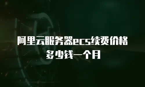 阿里云服务器ecs续费价格多少钱一个月