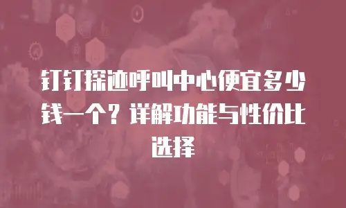 钉钉探迹呼叫中心便宜多少钱一个？详解功能与性价比选择